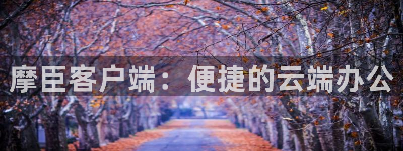 新城平台体育老板是谁：摩臣客户端：便捷的云端办公