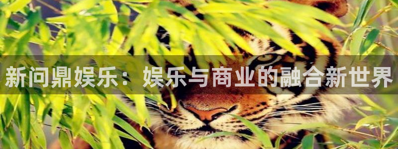新城平台游戏有哪些好玩的：新问鼎娱乐：娱乐与商业的融合新世界