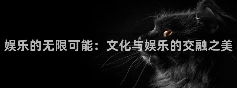 新城平台体育游戏：娱乐的无限可能：文化与娱乐的交融之美