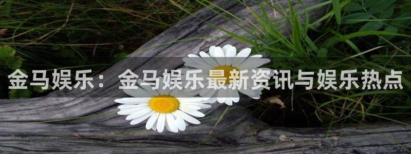 新城平台2平台注册：金马娱乐：金马娱乐最新资讯与娱乐热点