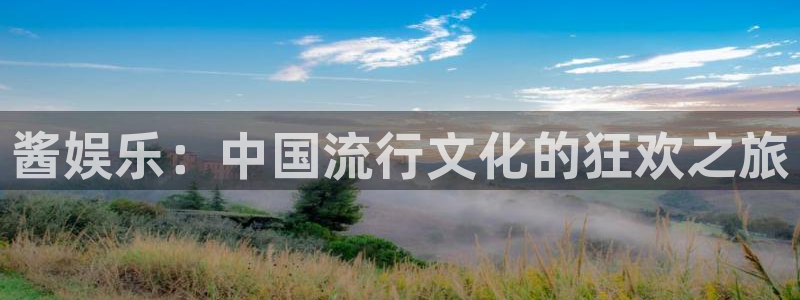 新城平台平台官网：酱娱乐：中国流行文化的狂欢之旅
