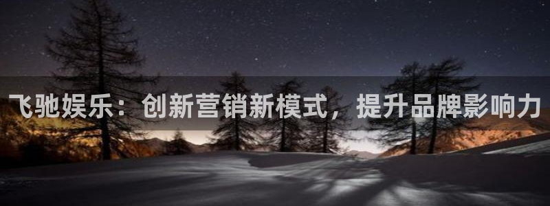 新城平台5招商：飞驰娱乐：创新营销新模式，提升品牌影响力