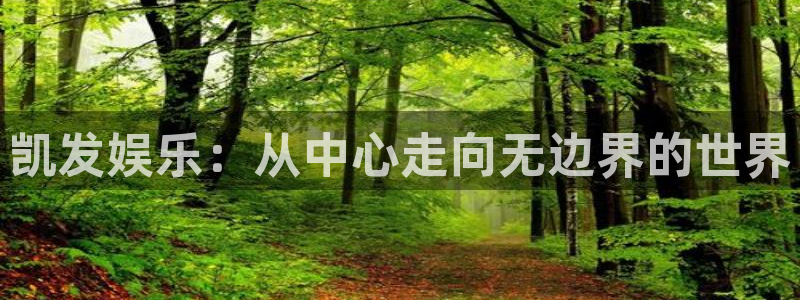新城平台体育1招商：凯发娱乐：从中心走向无边界的世界