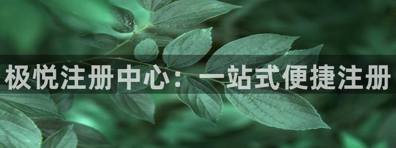 新城平台官网：极悦注册中心：一站式便捷注册