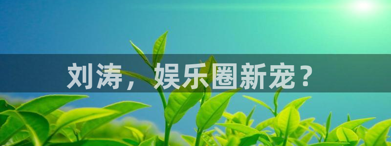 新城平台2官网：刘涛，娱乐圈新宠？