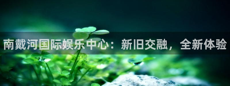 新城平台体育平台开号链接：南戴河国际娱乐中心：新旧交融，全新体验