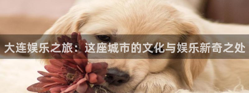 新城平台平台：大连娱乐之旅：这座城市的文化与娱乐新奇之处