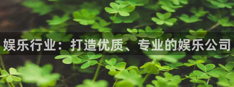 新城平台k：娱乐行业：打造优质、专业的娱乐公司