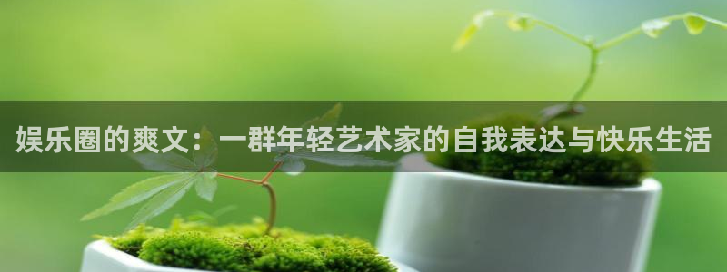 新城平台5招商：娱乐圈的爽文：一群年轻艺术家的自我表达与快乐生活