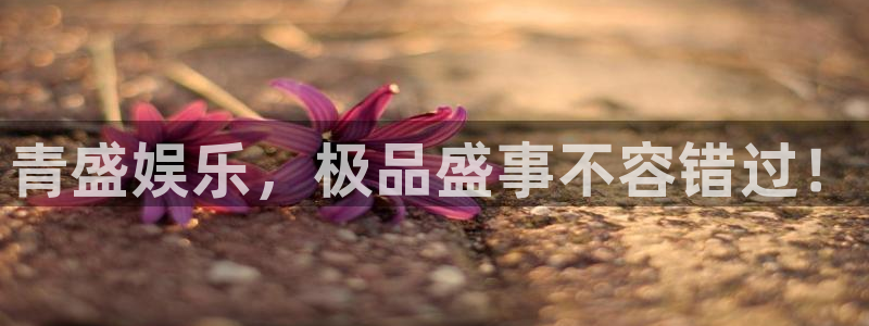 新城平台平台主管：青盛娱乐，极品盛事不容错过！