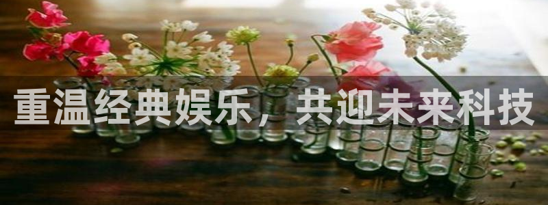 新城平台f平台注册：重温经典娱乐，共迎未来科技