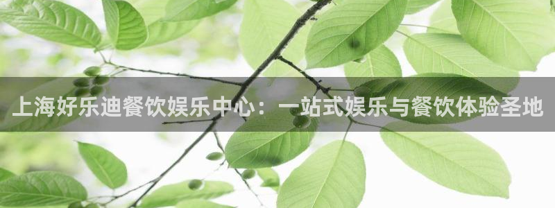 新城平台体育官网注册：上海好乐迪餐饮娱乐中心：一站式娱乐与餐饮体验圣地