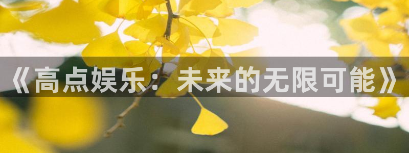 新城平台平台开户链接：《高点娱乐：未来的无限可能》