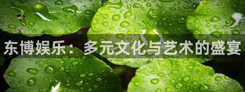 新城平台平台官网：东博娱乐：多元文化与艺术的盛宴