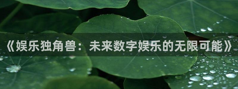 新城平台体育官网入口登录：《娱乐独角兽：未来数字娱乐的无限可能》
