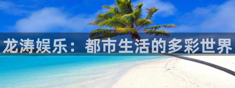 新城平台：龙涛娱乐：都市生活的多彩世界