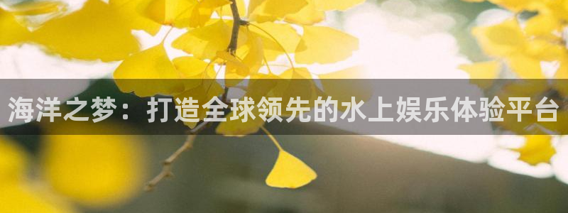 新城平台5注册：海洋之梦：打造全球领先的水上娱乐体验平台